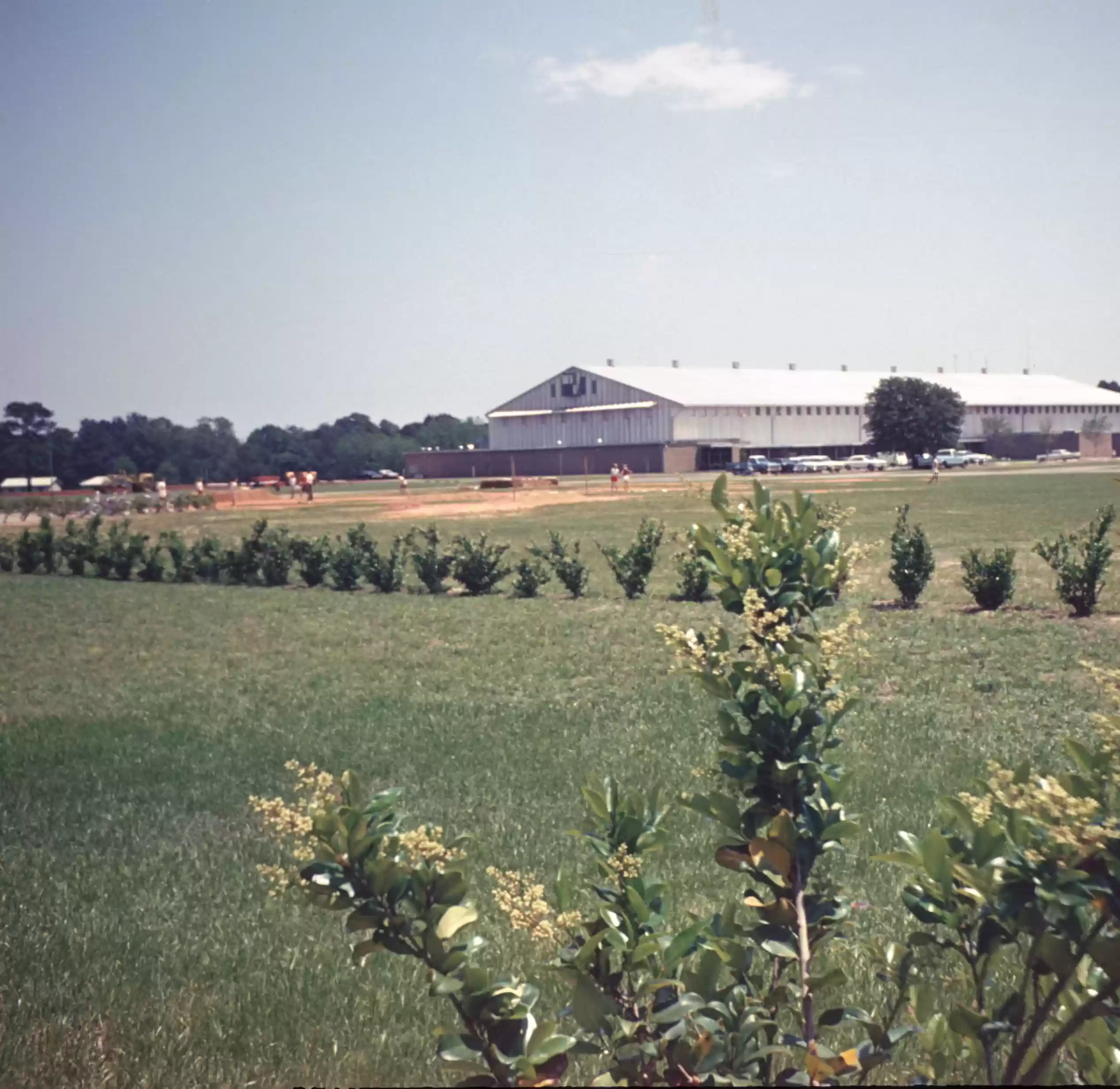 FIELD HOUSE snuffer117_casea2_004